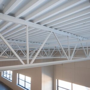 Steel joist and steel deck